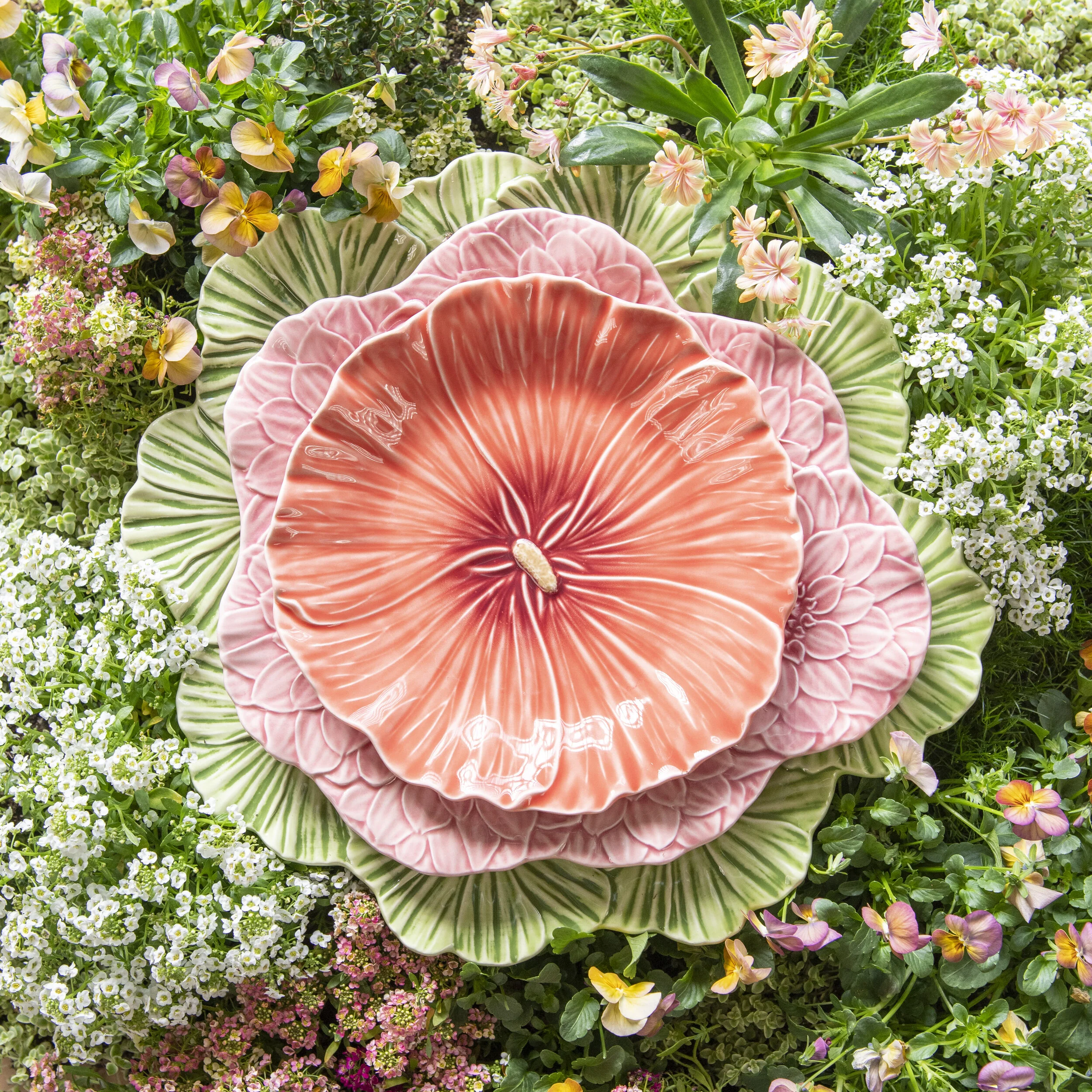 Flora — Casa de Perrin